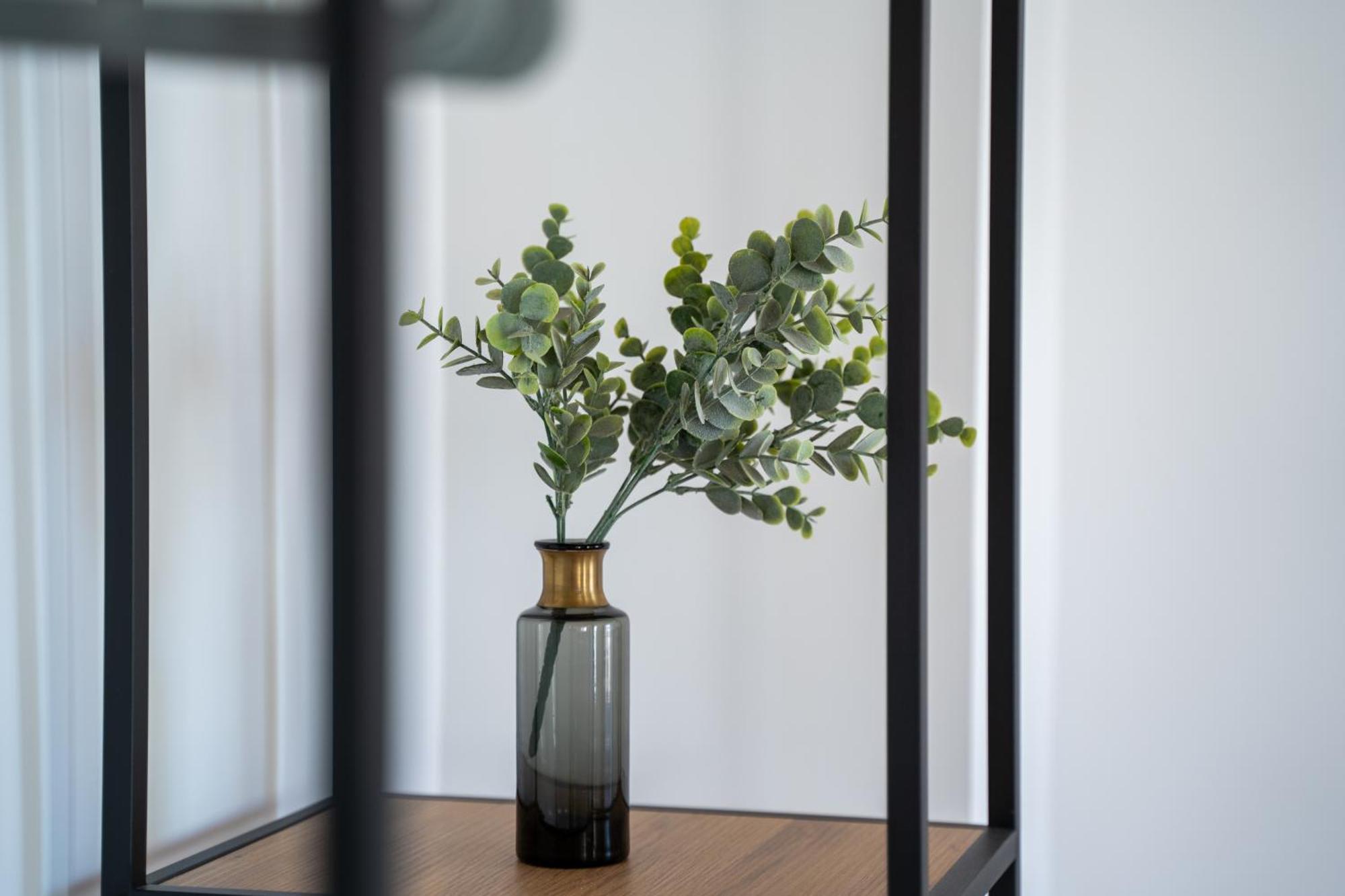 Apartamentos Gomerez 30 グラナダ エクステリア 写真